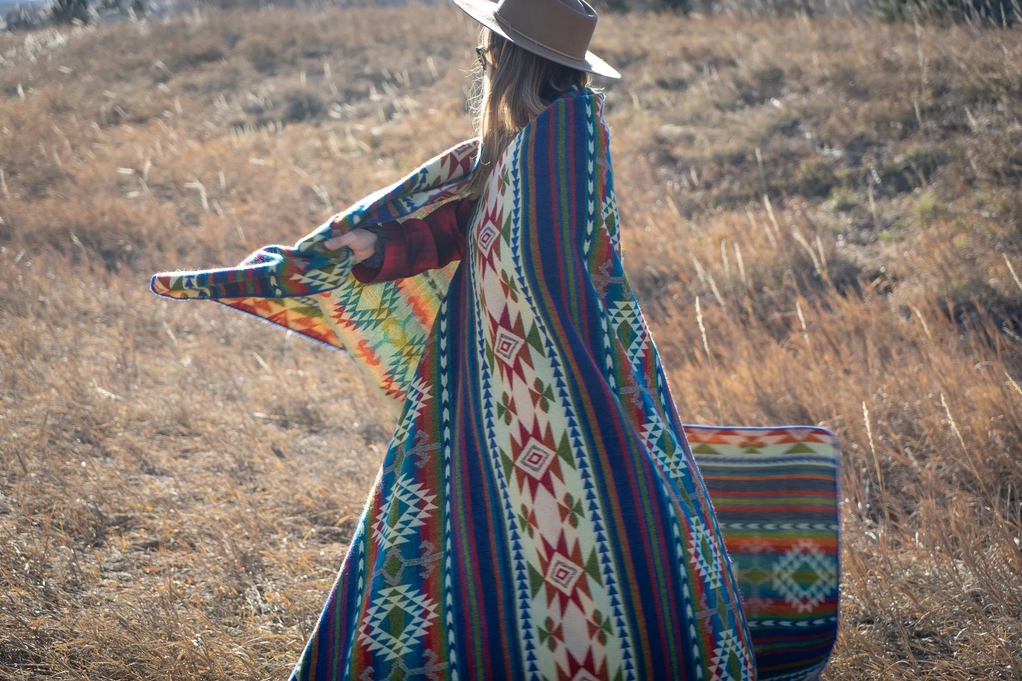 ALPACA GALAPAGOS (ECUADOR)