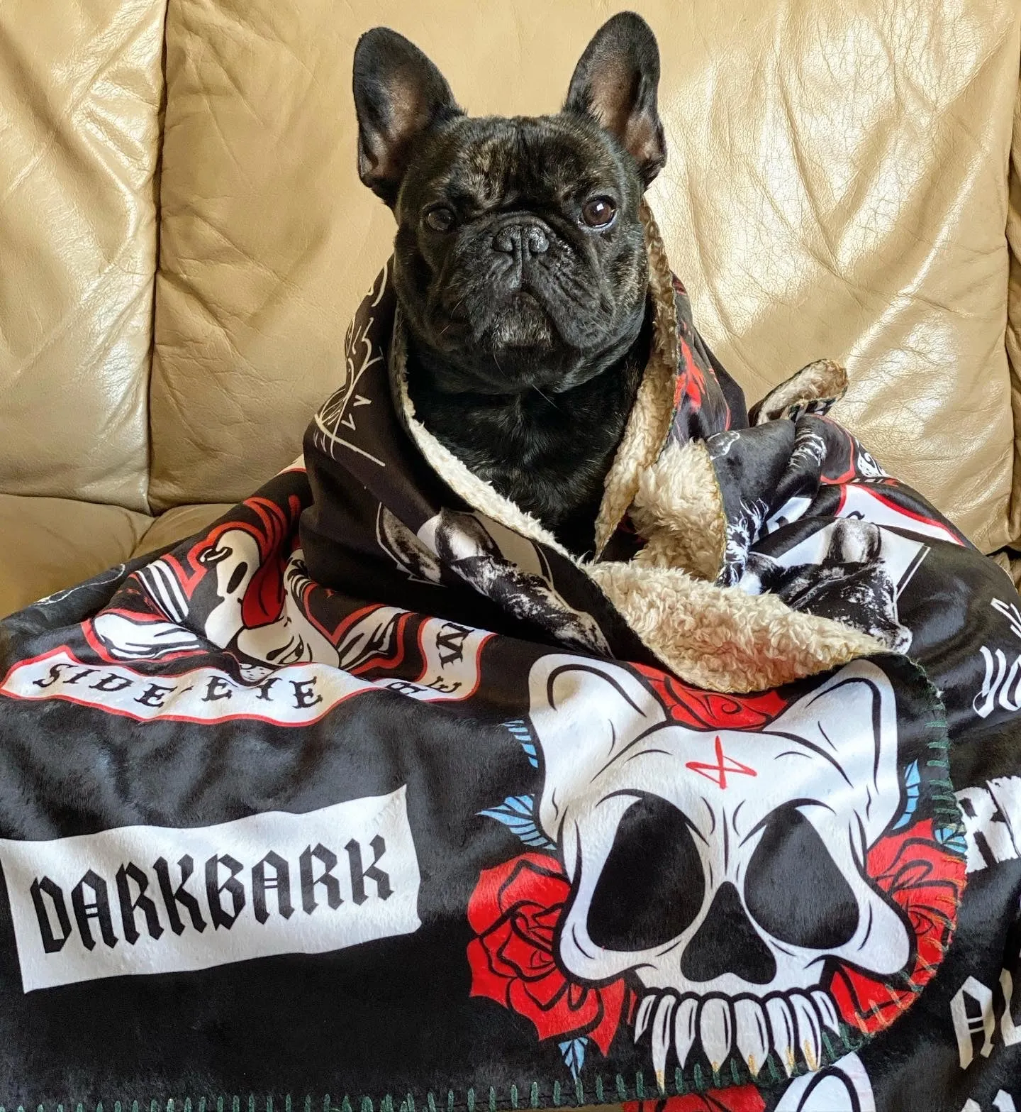 Battle Blanket