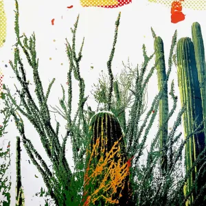 Cactus Light
