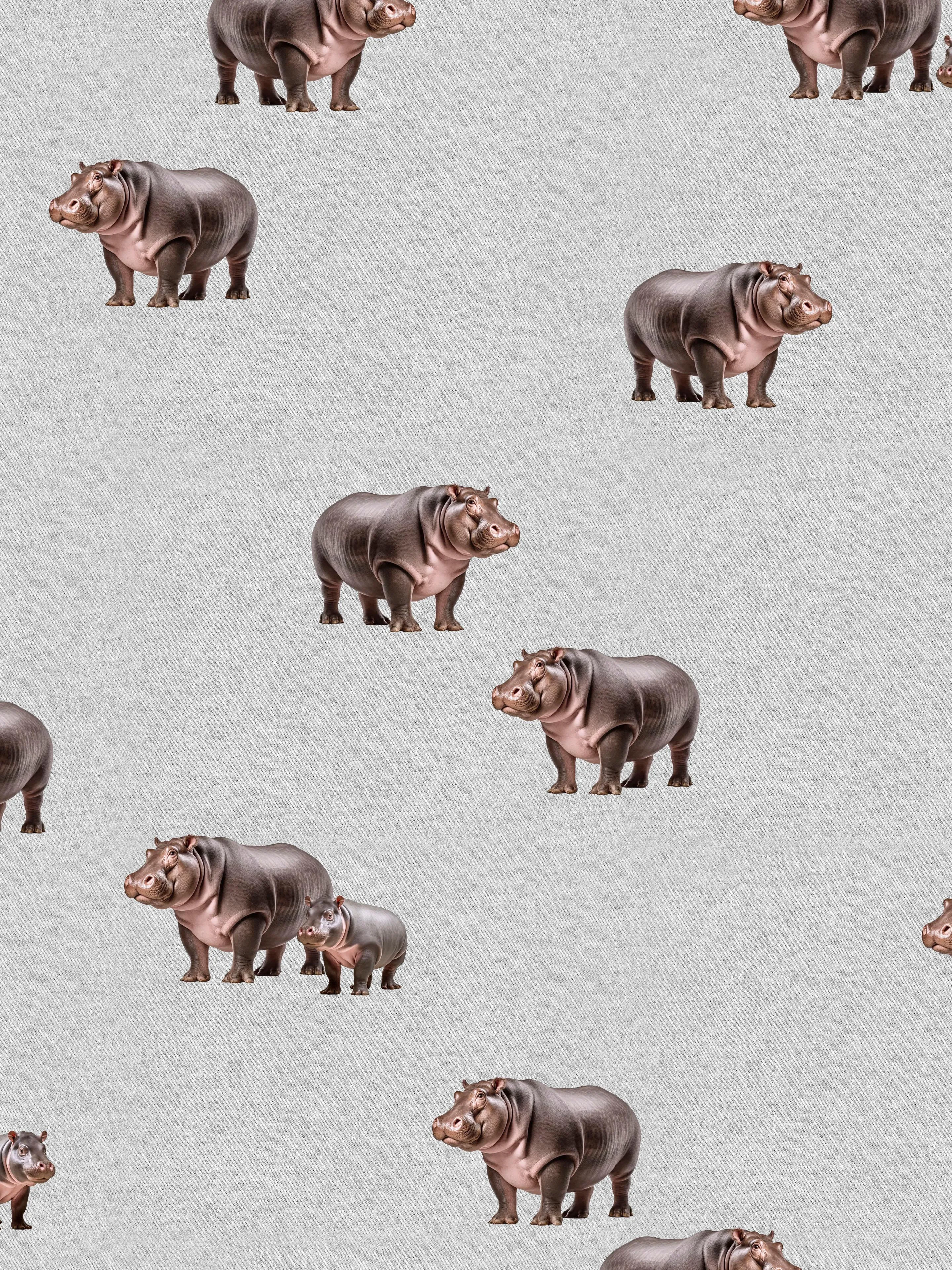 Hippos Sweater Dames