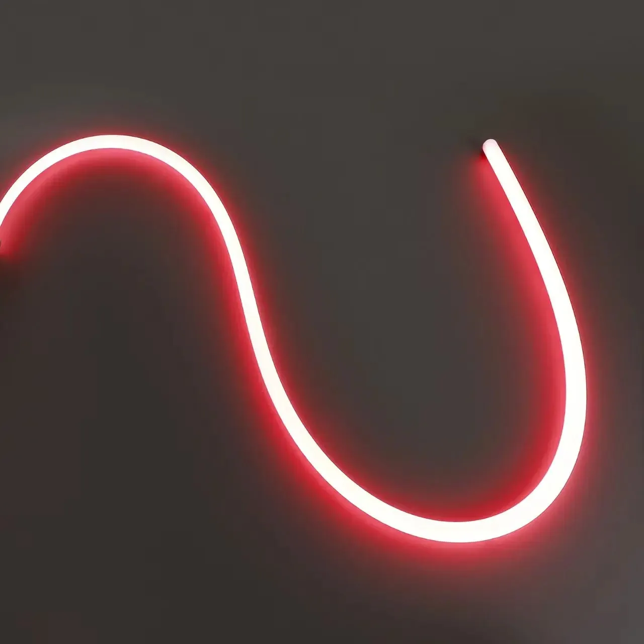 Light Whip