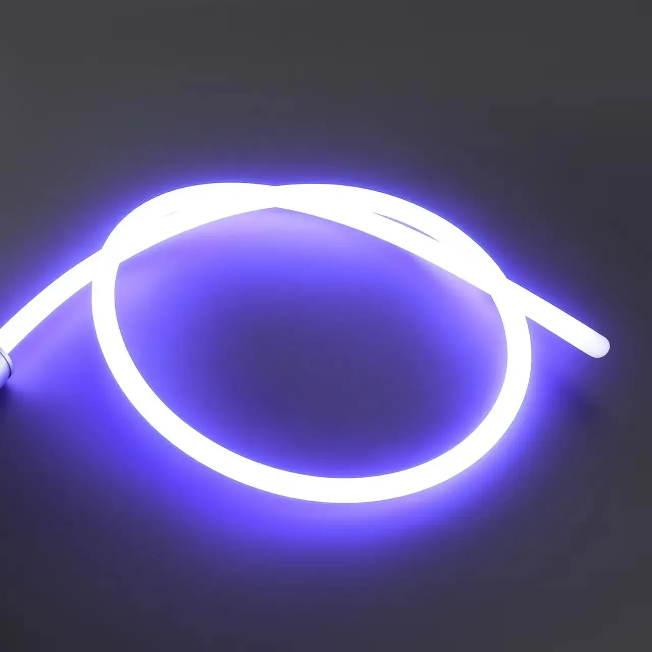Light Whip