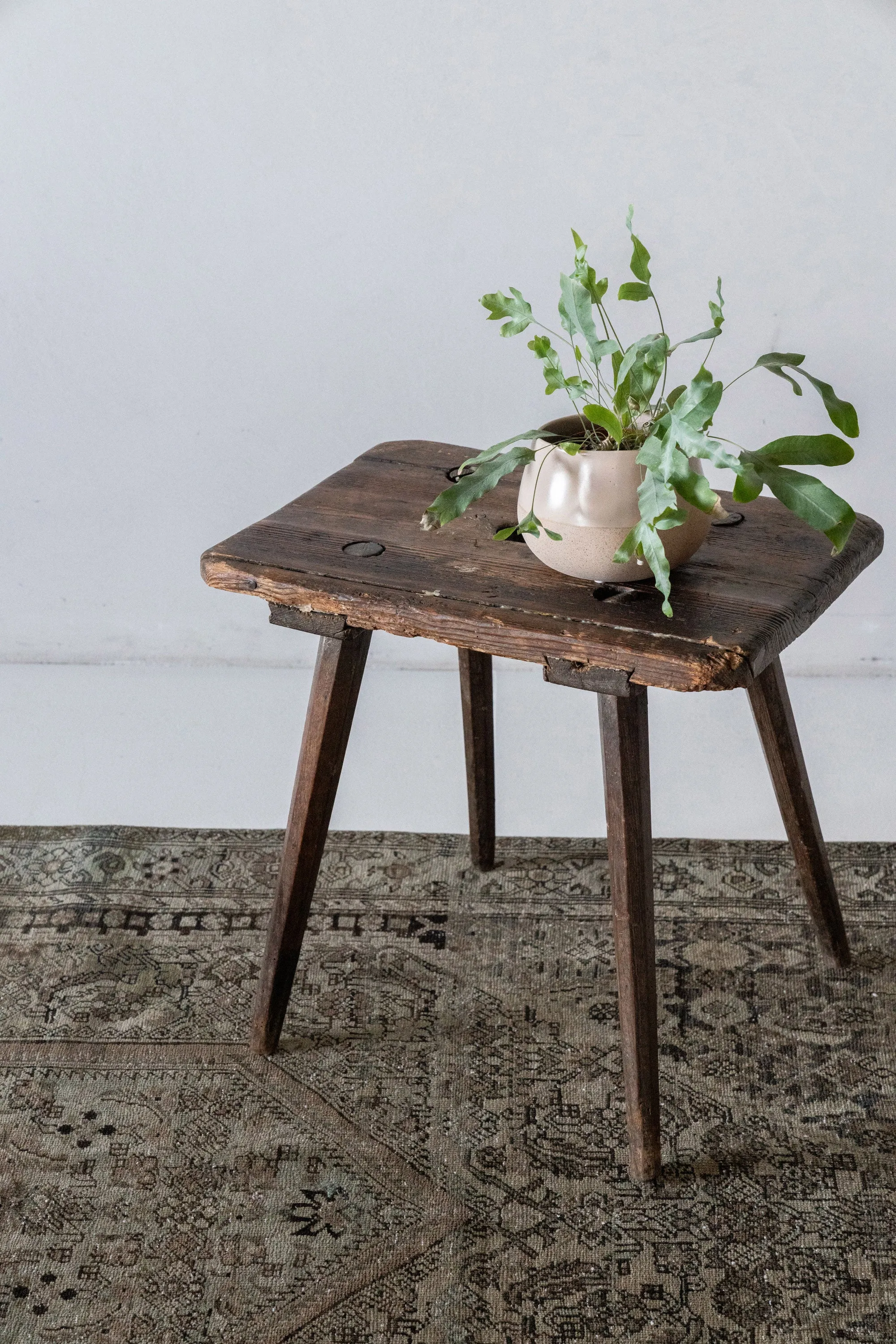 Medora | 4'2 x 6'8