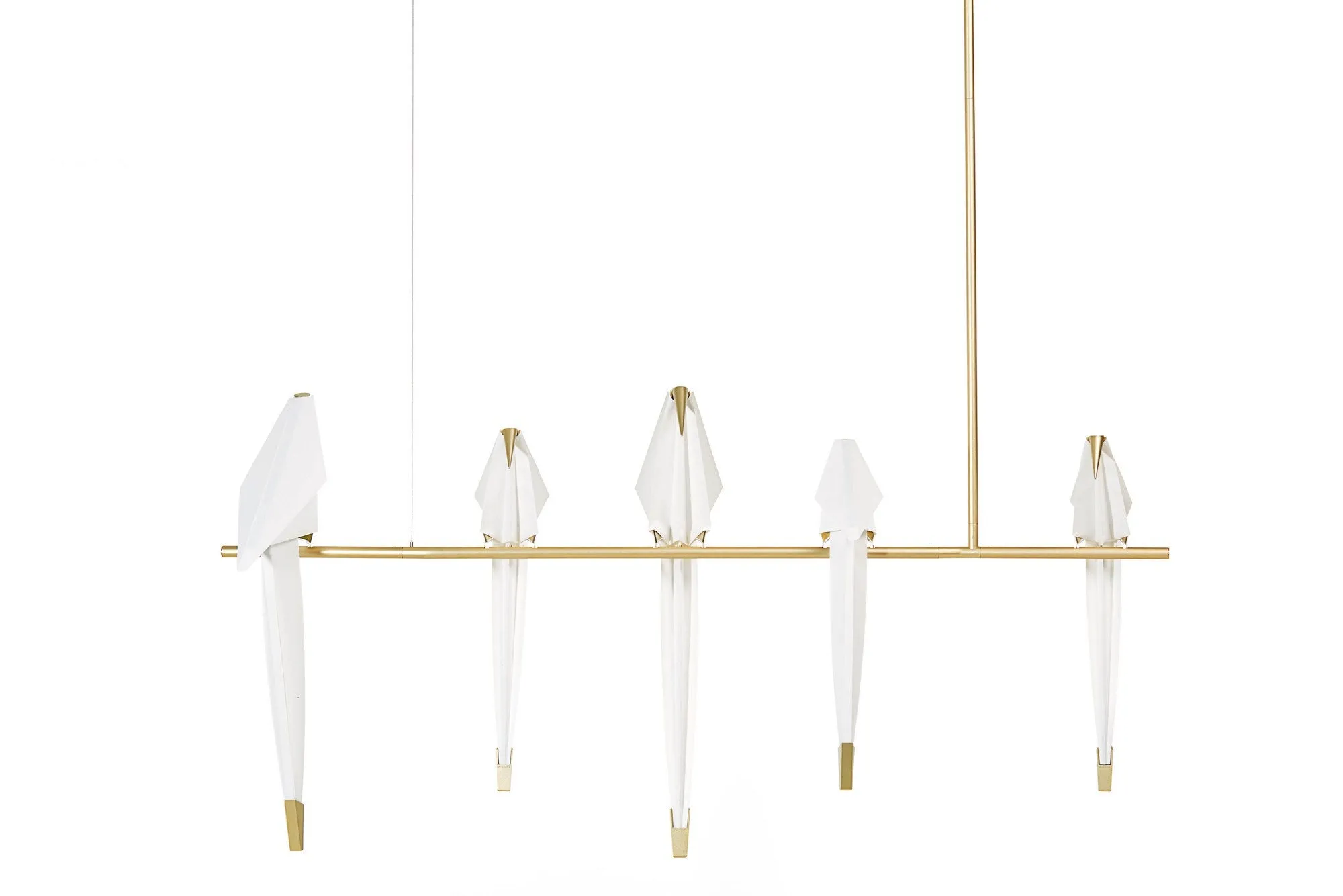 Perch Chandelier Light