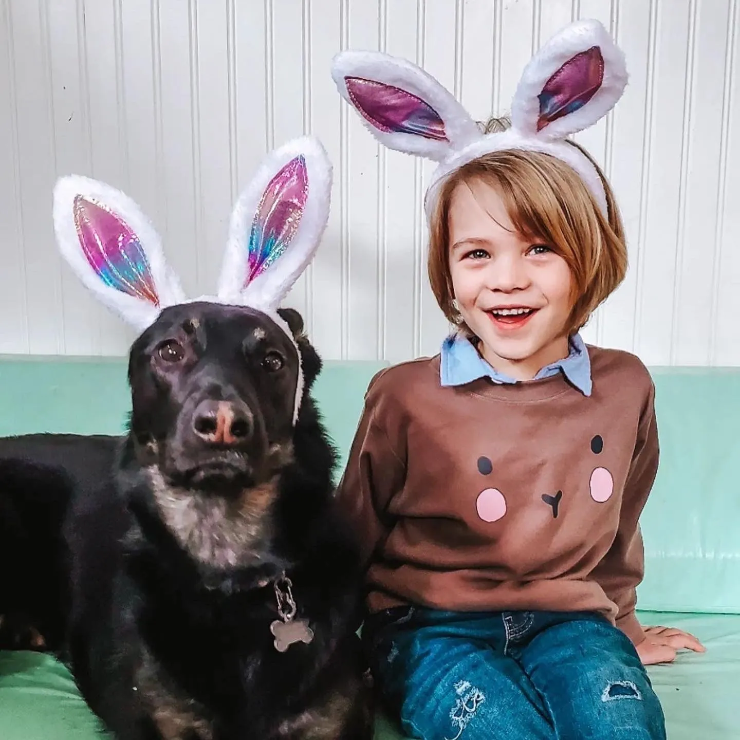 Pullover Brown Bunny