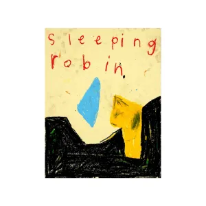 sleeping robin