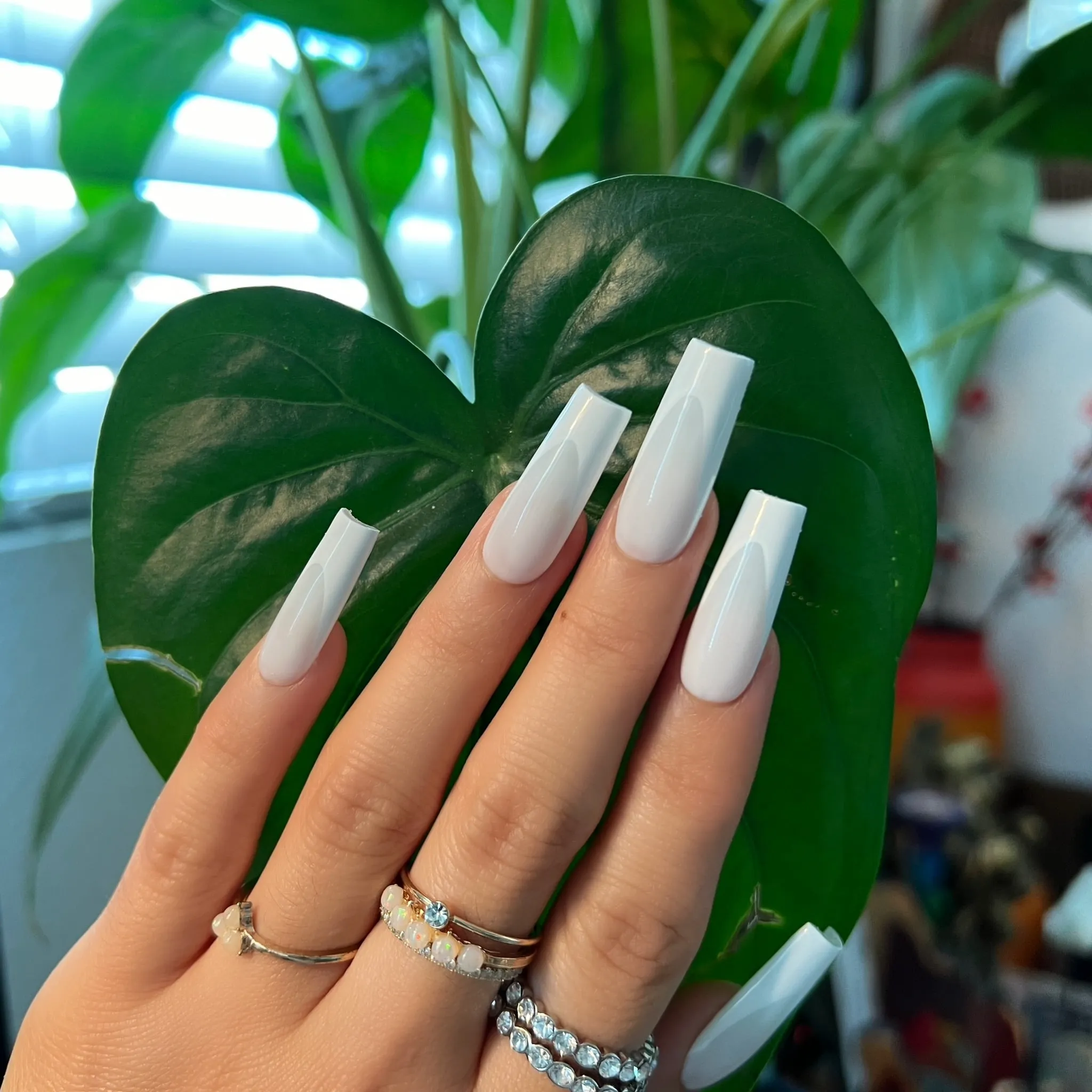 SOFT WHITE TIPS