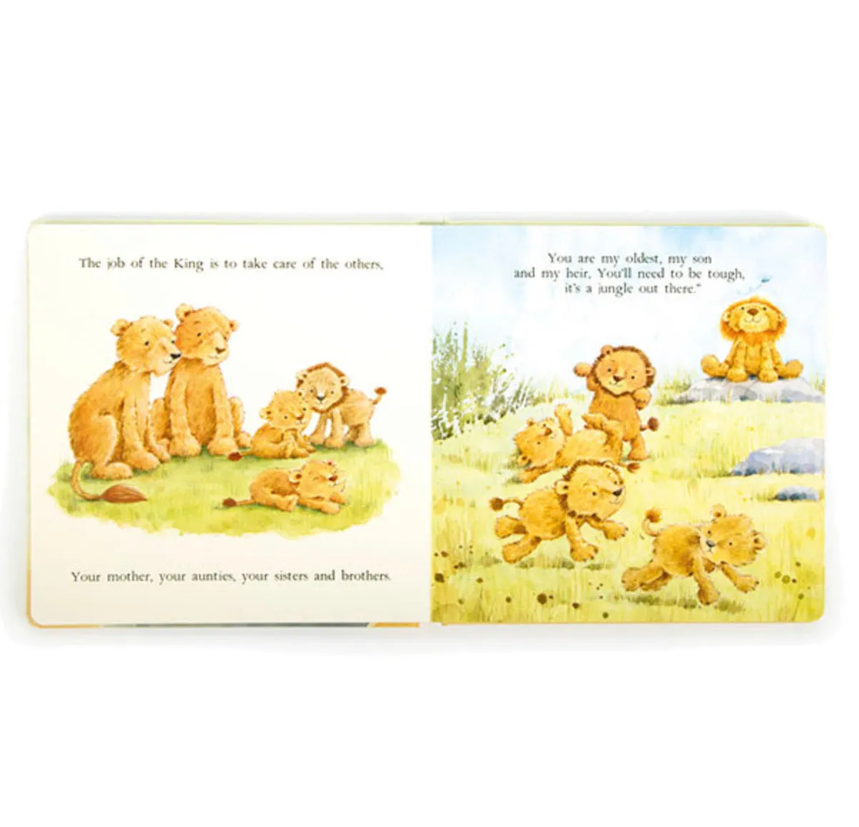 The Very Brave Lion Book